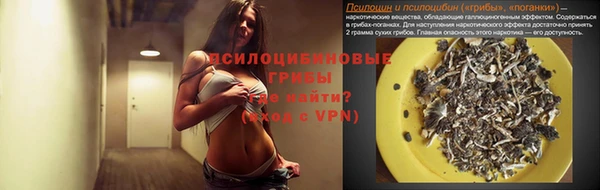 мяу мяу мука Ельня