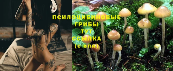 метадон Елабуга