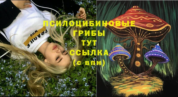 мяу мяу мука Ельня