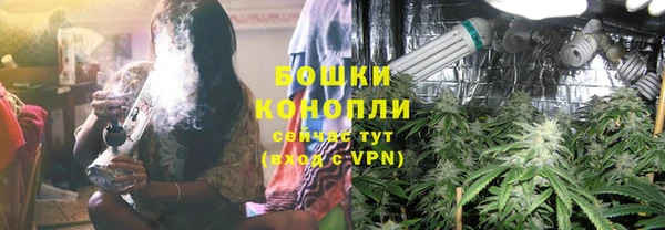 мяу мяу мука Ельня
