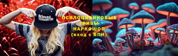 герыч Елизово