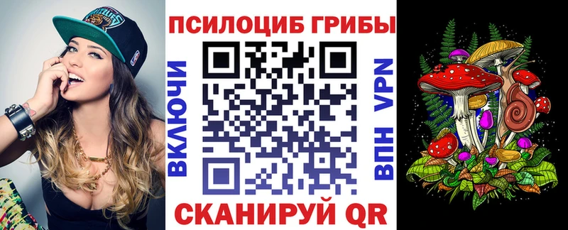 Псилоцибиновые грибы Psilocybe  Купить закладки  Красавино 